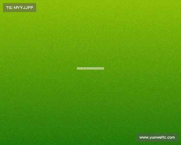 美因茨不敌勒沃库森,德甲赛季压力渐大